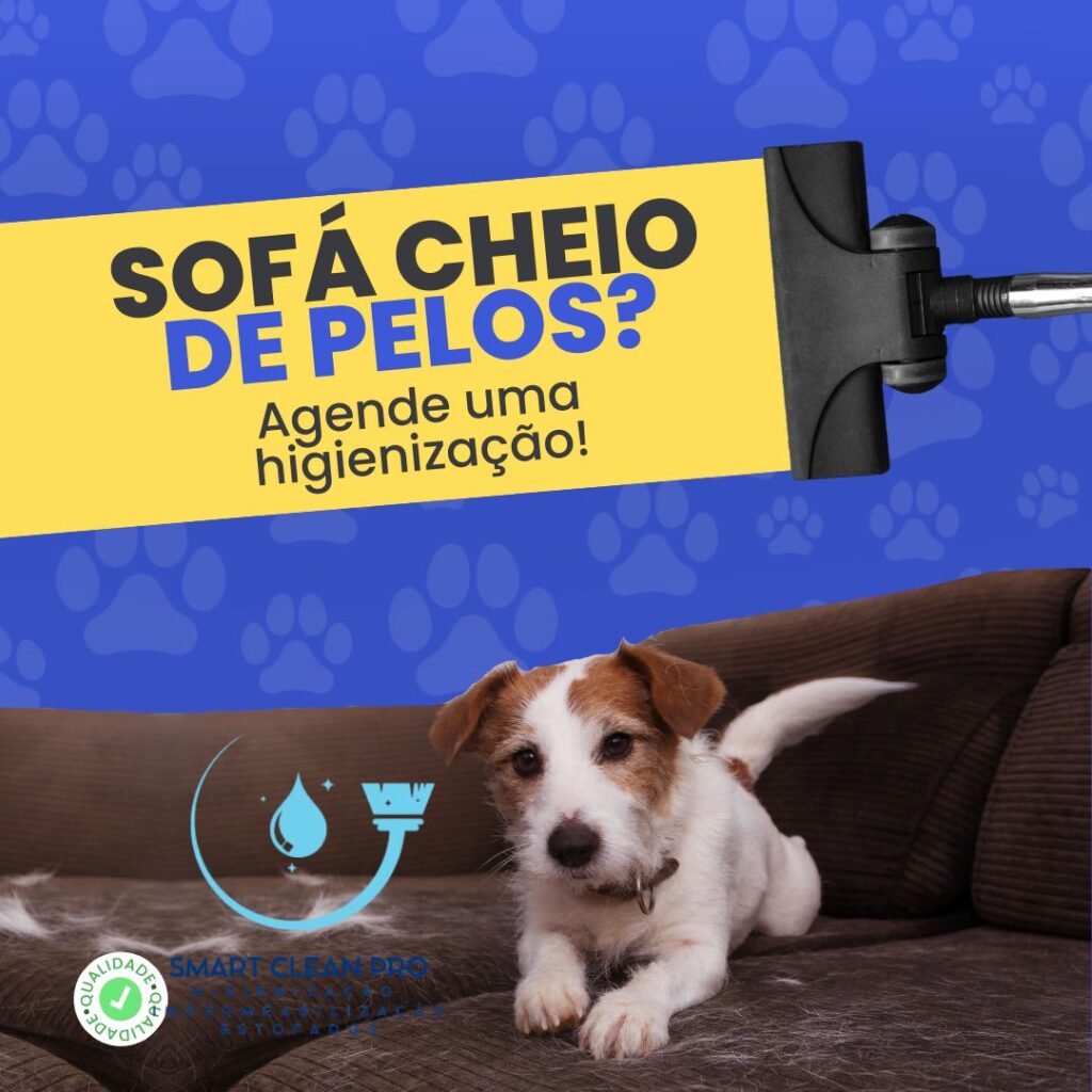 Limpeza de Sofá Nova Guaçu