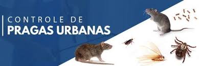 Dedetizadora de barata em duque de caxias